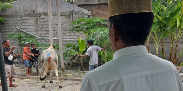 Wakapolda Sulteng Rayakan Idul Adha dengan Kesederhanaan, Saksikan Penyembelihan Sapi Qurban Bersama Ibunda Tercinta